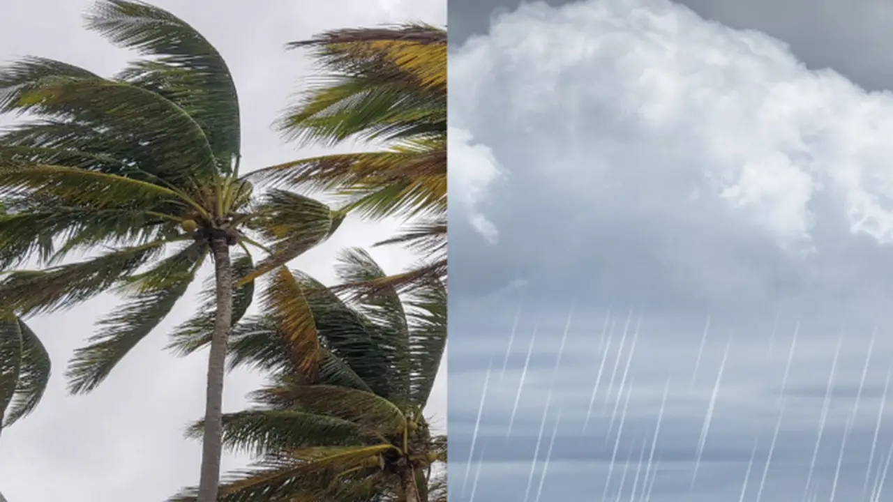 سماء صافية ورياح قوية.. تطورات حالة الطقس المتوقعة بمناطق عدة يوم الإثنين